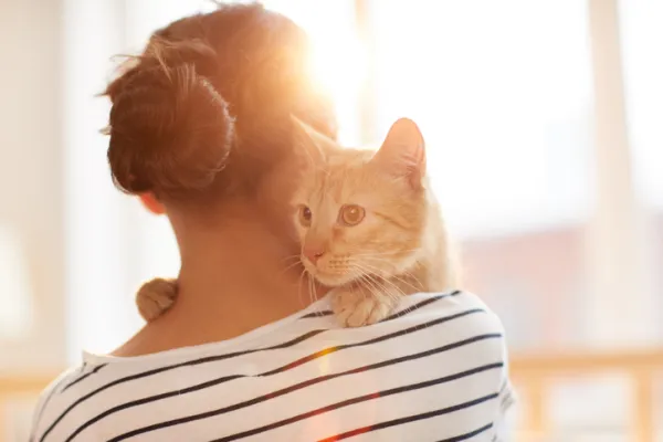 ¿Cuánto Tiempo Puede Recordar un Gato a su Dueño?