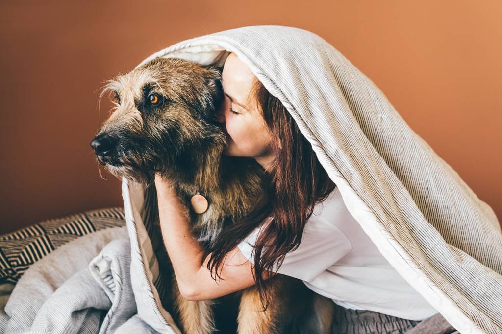 Descubre Qué Siente Mi Perro Cuando Lloro