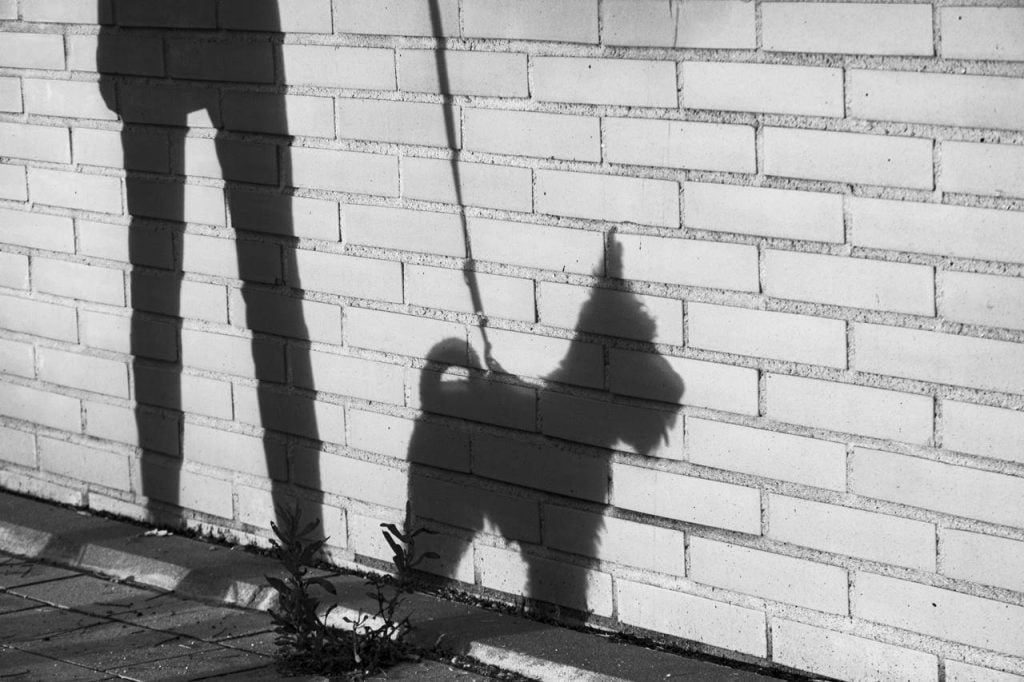 Descubre por qué tu perro persigue sombras