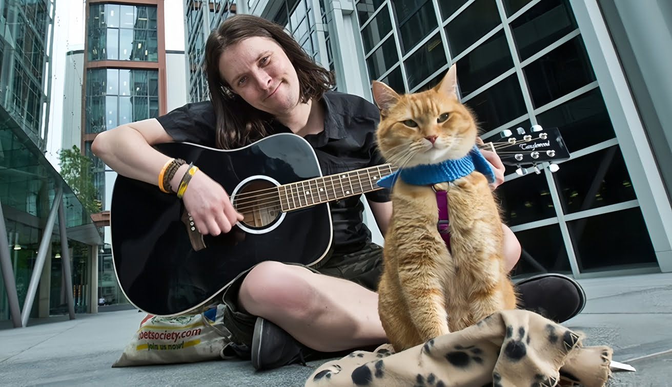 Un gato callejero llamado Bob: Historia de amor y superación